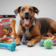 Happy dog surrounded by the best dog toys for chewers, including durable rubber bones, chew rings, and KONG Extreme toy.